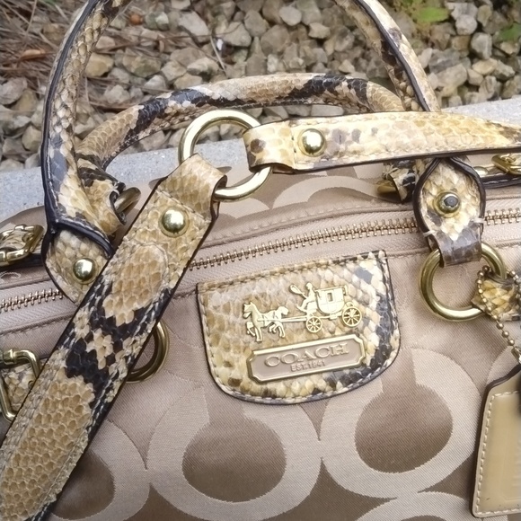 Coach Madison Signature Shoulder Bag 18650 Khaki Natural with Python Trim - Picture 7 of 12